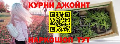 крисы Сланцы