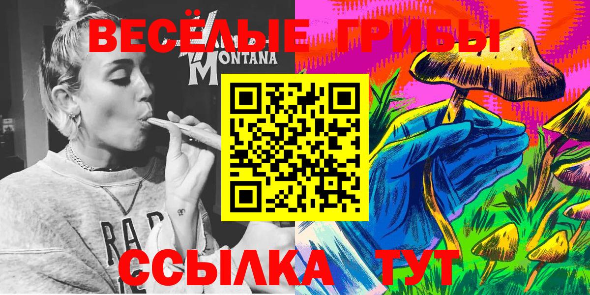 Псилоцибиновые грибы Psilocybe Малгобек